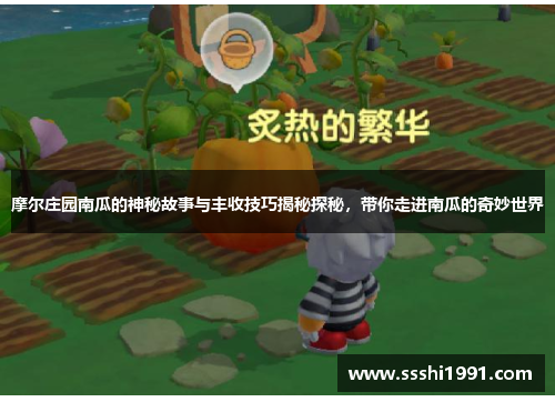 摩尔庄园南瓜的神秘故事与丰收技巧揭秘探秘,带你走进南瓜的奇妙世界